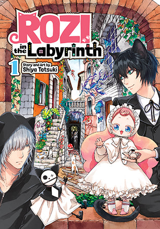 Harem in the Labyrinth of Another World LN Volume 1 